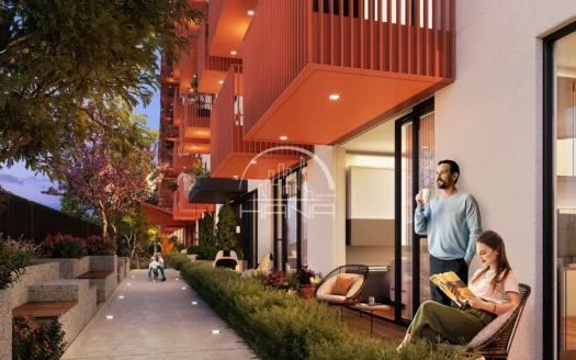 مشروع كوتشوك تشكمجه الجديد