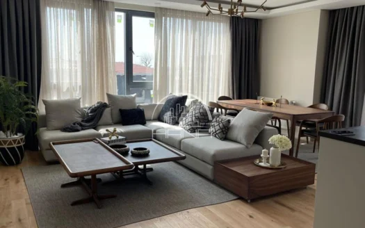 مشروع كوتشوك تشكمجه الجديد