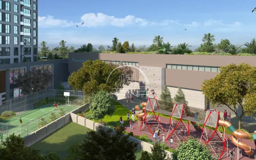 منازل زيتون بورنو الفاخرة