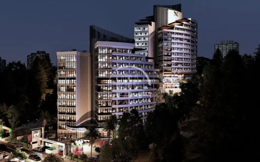 الشقق السكنية الفاخرة في منطقة باشاك شهير