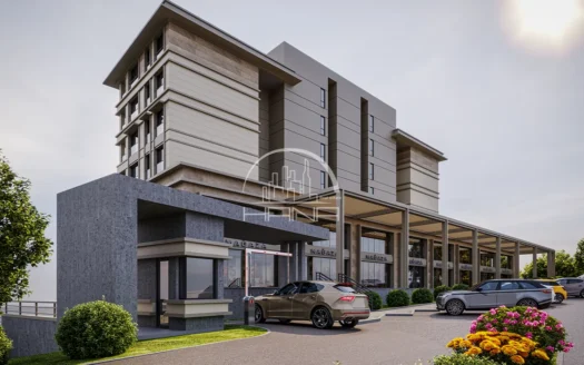 شقق وفلل في باشاك شهير