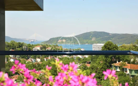 أرقى الفلل في طرابيا